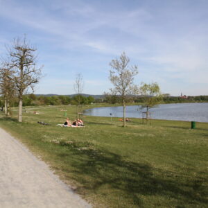 IMG 4739